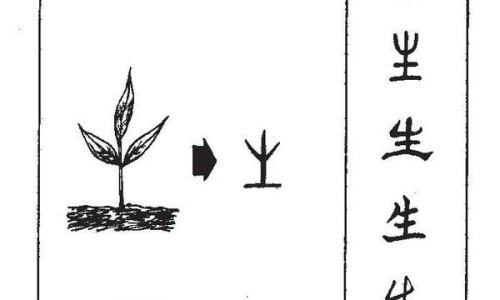 胃实火症状大全-胃实火的症状网 | 胃实火症状大全,胃实火的症状有哪些