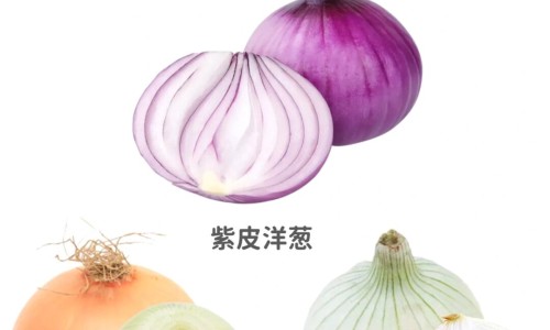 胃实火的症状网 | 胃实火症状大全,胃实火的症状有哪些